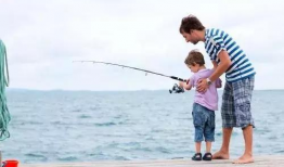 91钓鱼怎么进不了直播,排查与解决攻略