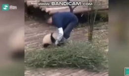 吃奶头视频,揭秘育儿过程中的温馨瞬间